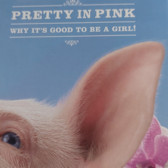 Pretty In Pink Book - Picture 2 of 9